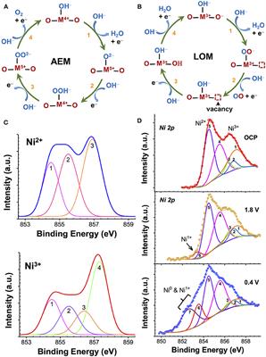 Frontiers | Probing Active Sites And Reaction Intermediates Of ...